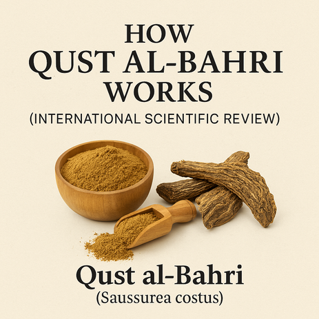 How Qust al-Bahri Works