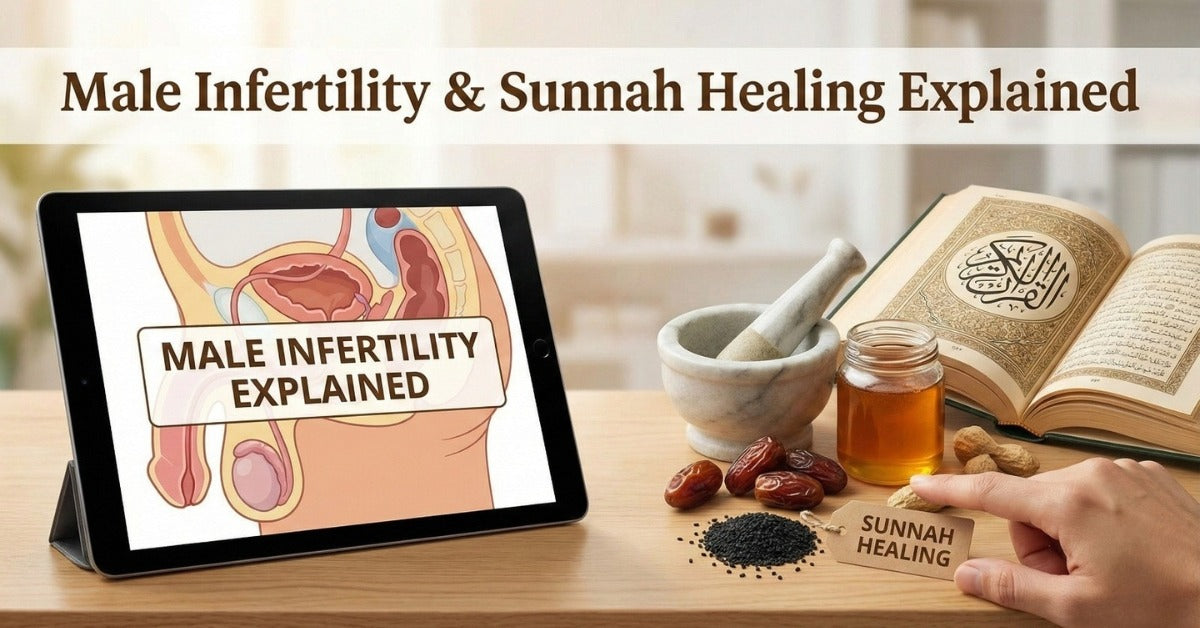 Male Infertility & Sunnah Healing Explained  Understanding Root Causes Through Science + Prophetic Medicine
