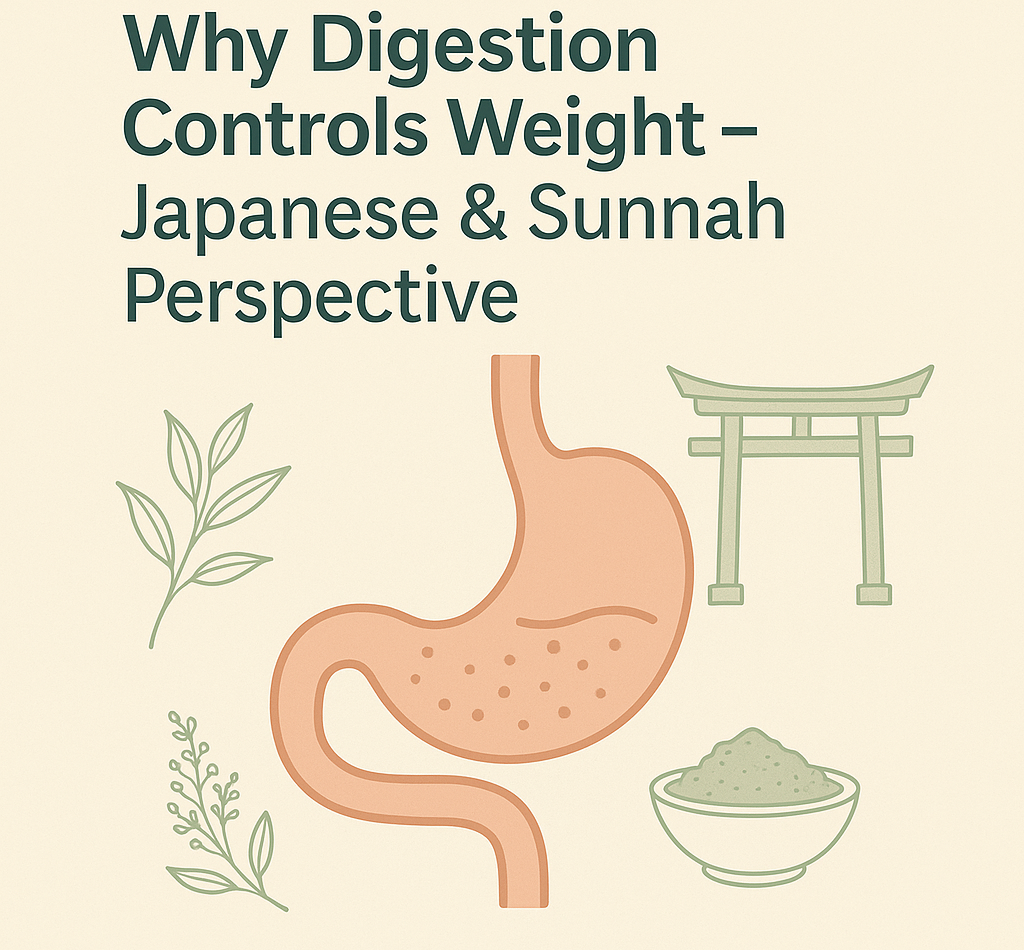 Why Digestion Controls Weight – Japanese & Sunnah Perspective  By Sunnah Diagnostic Centre